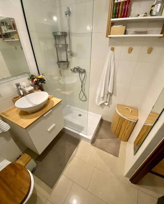 Kaczary Deluxe 56m2 Krakau