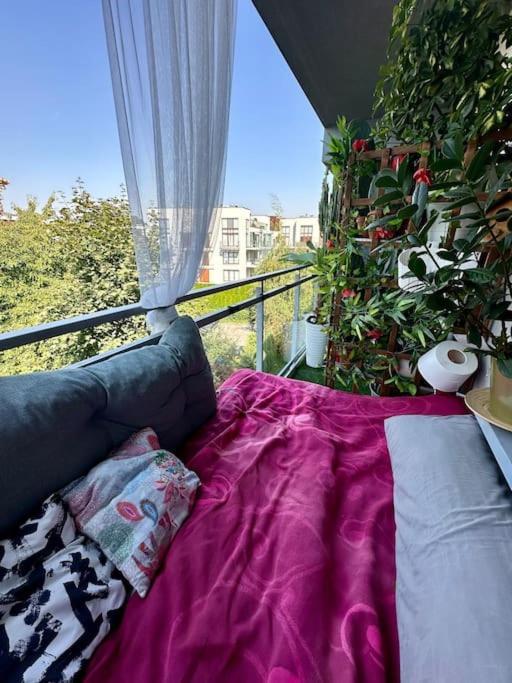 Appartement Kaczary Deluxe 56m2