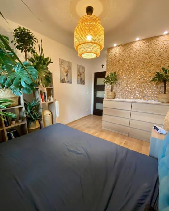 Appartement Kaczary Deluxe 56m2 Krakau